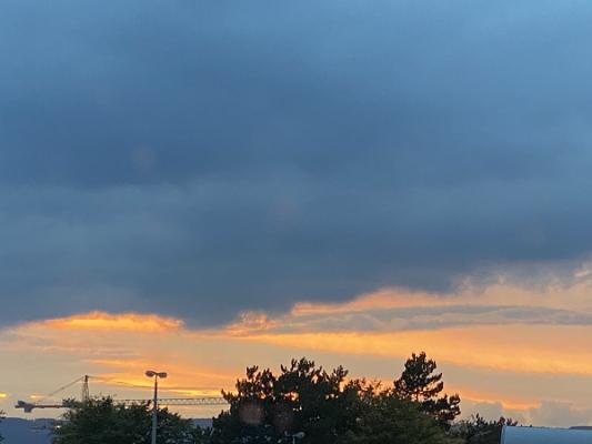 gp_69f928a86e268