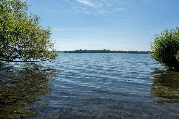 gp_69f94d797291a