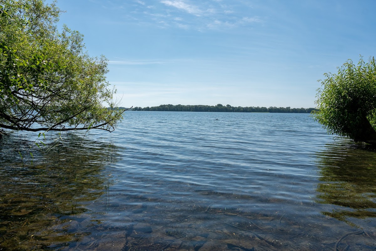 gp_69f94d797291a