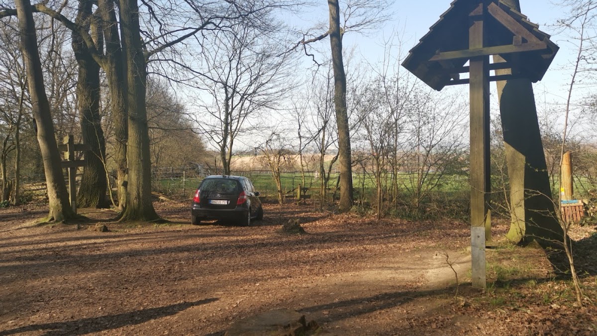 gp_69f94e46f17bd