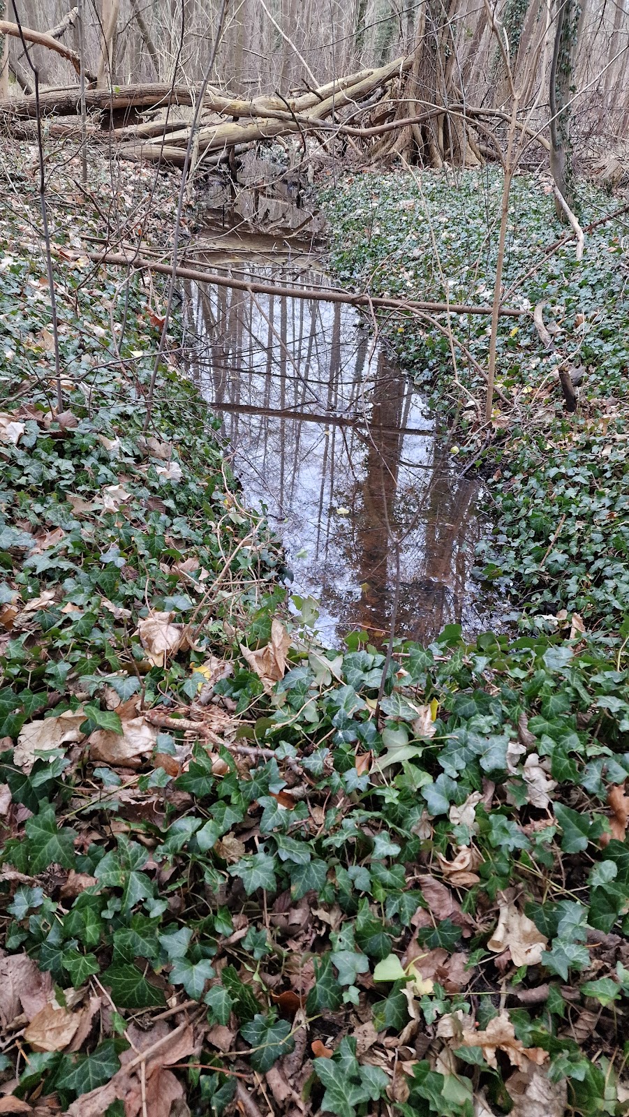 gp_69f94f0ae9135