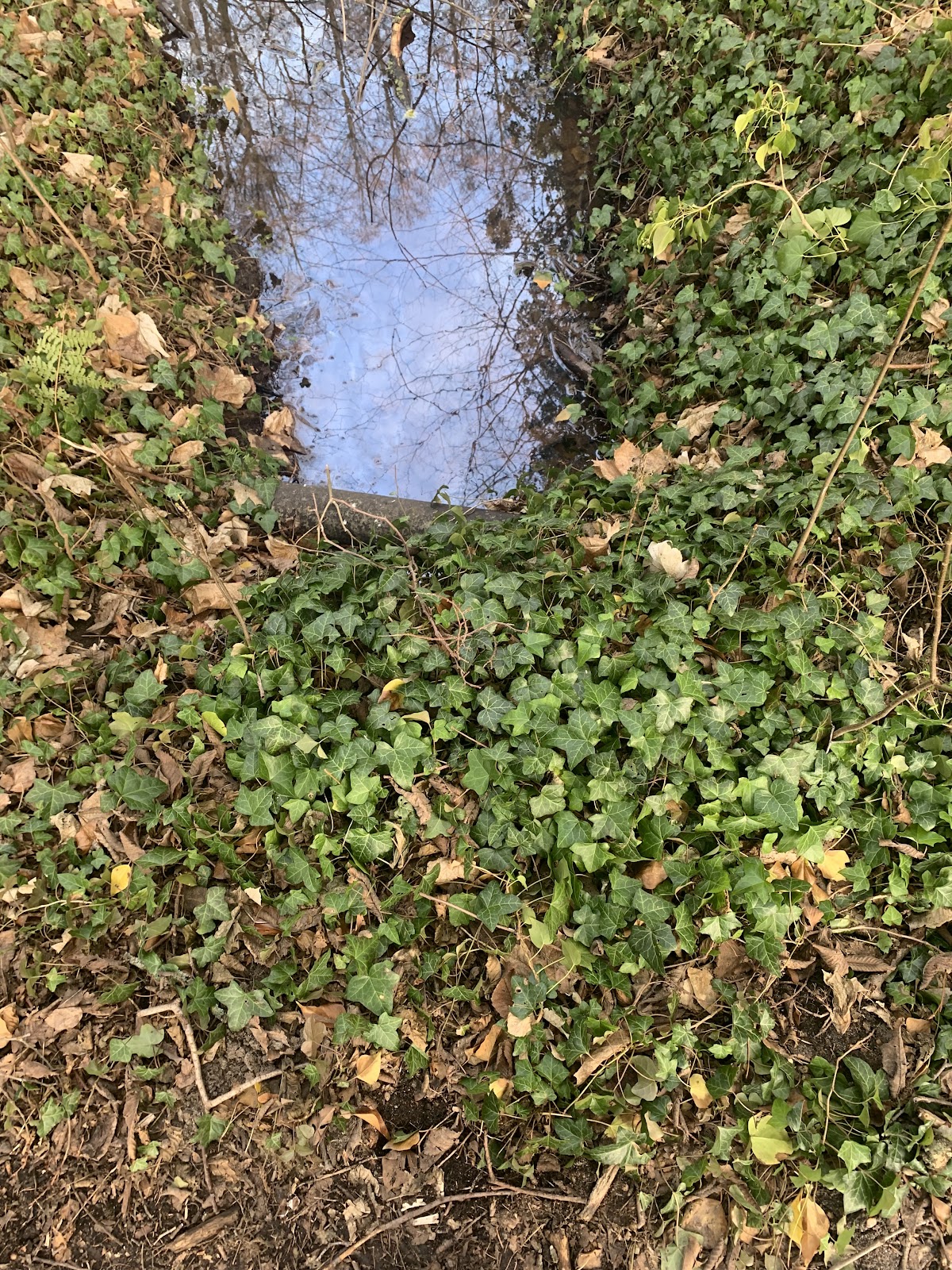 gp_69f94f0b728de