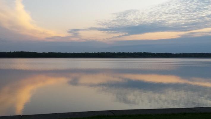 gp_69f928f220c95