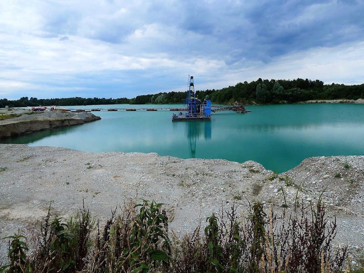 gp_69f94fac195dd