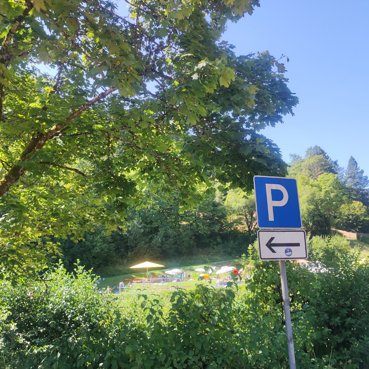 gp_69f950509667f