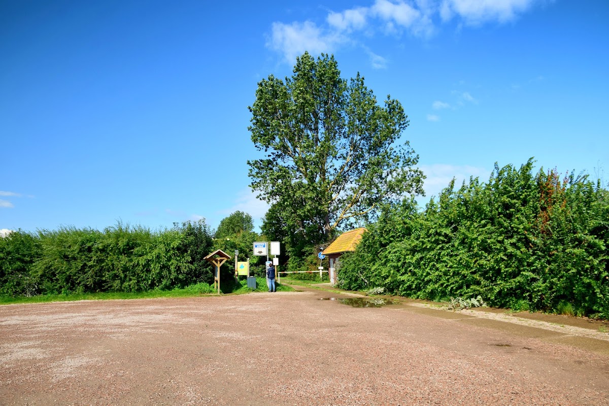 gp_69f92909d050f