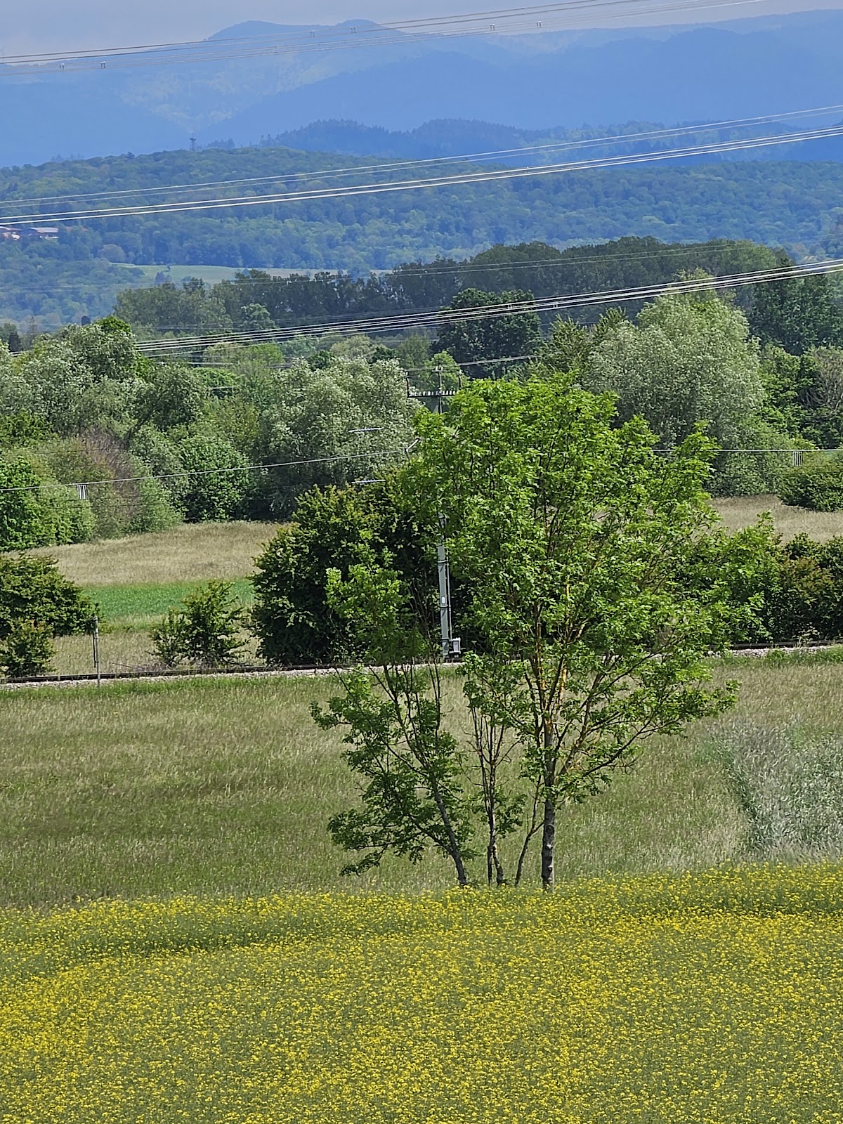 gp_69f9515121058