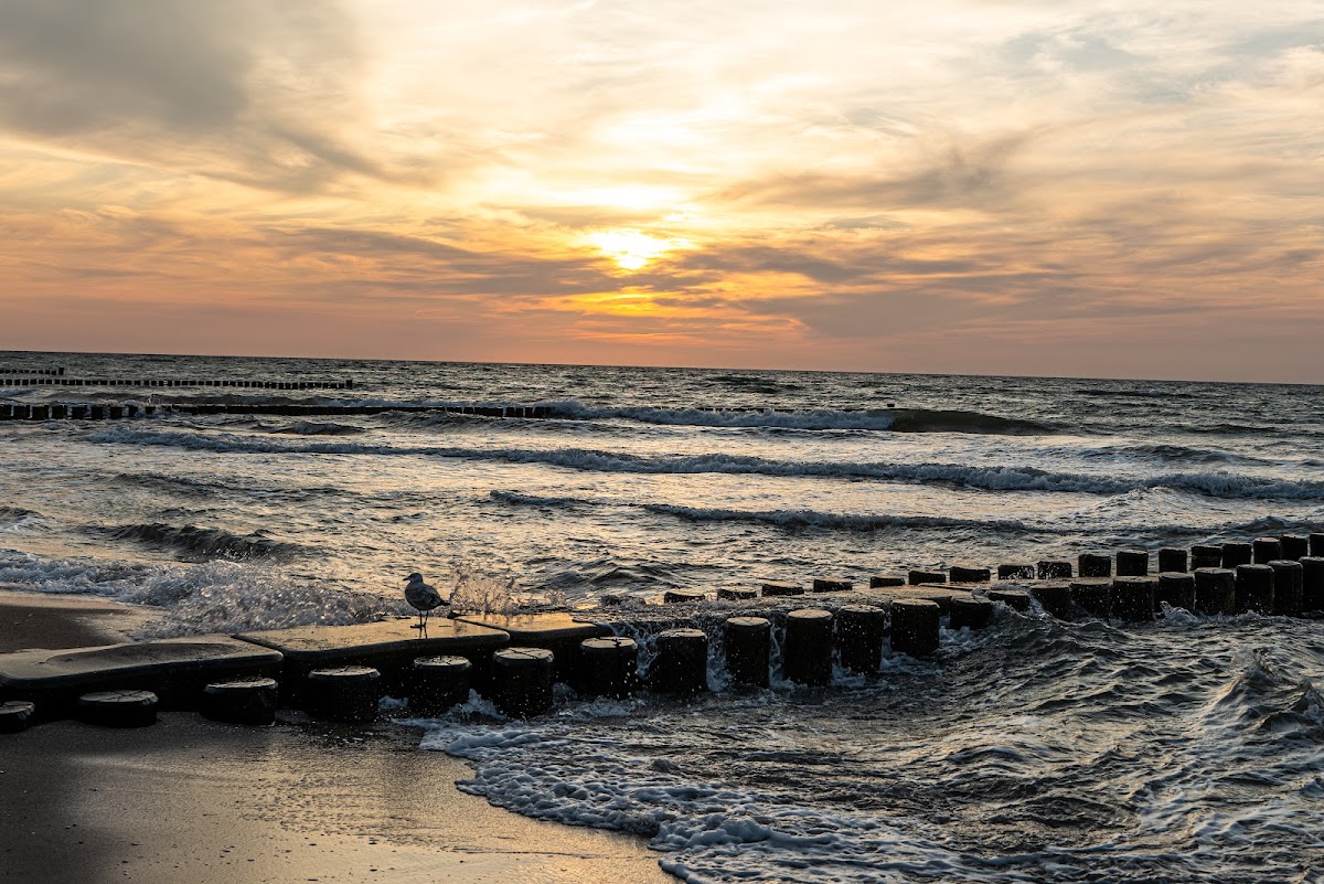 gp_69f9291e3f7bc