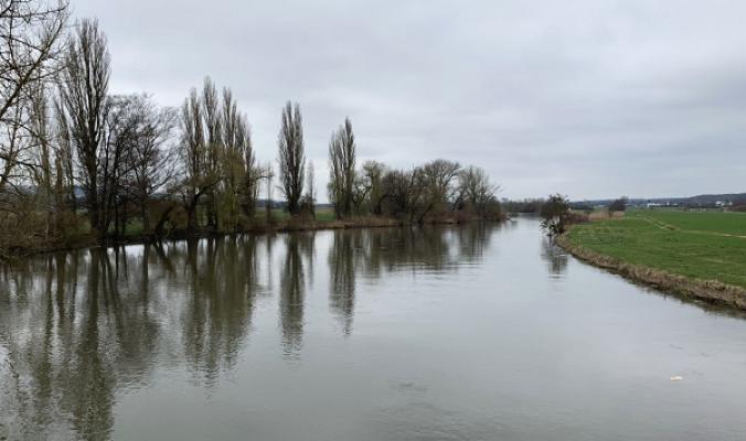 gp_69f9519c03cf9