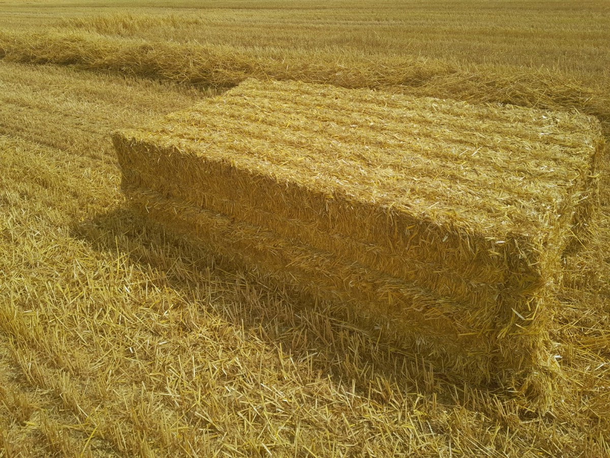gp_69f951abbfed5