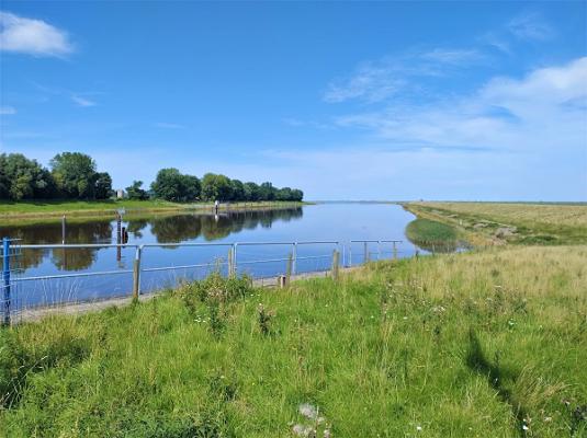 gp_69f9521851192