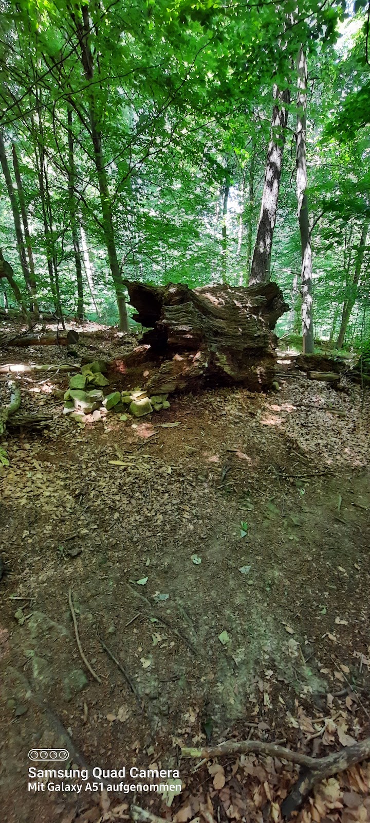 gp_69f95247ed6f8