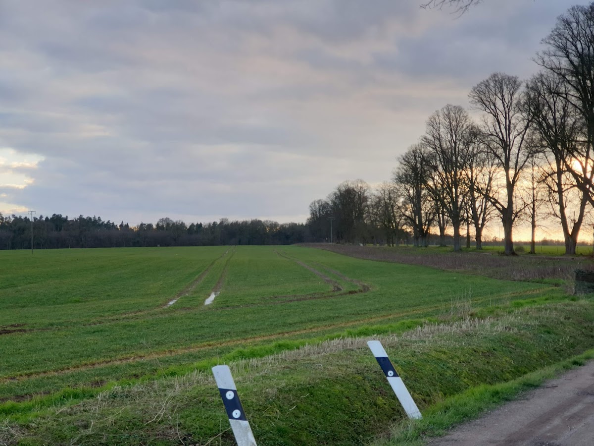 gp_69f95291d6115