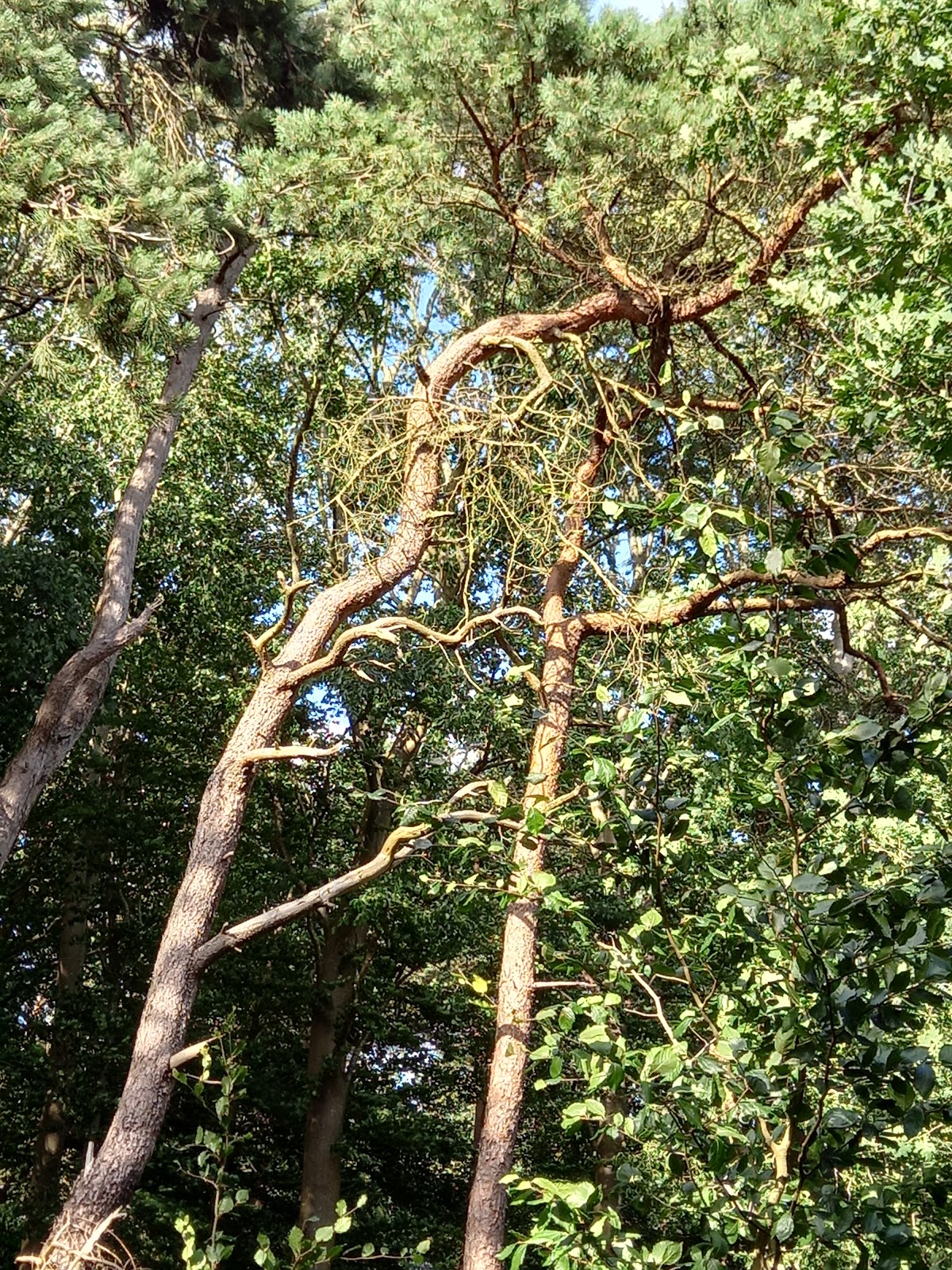 gp_69f952fa6eab8