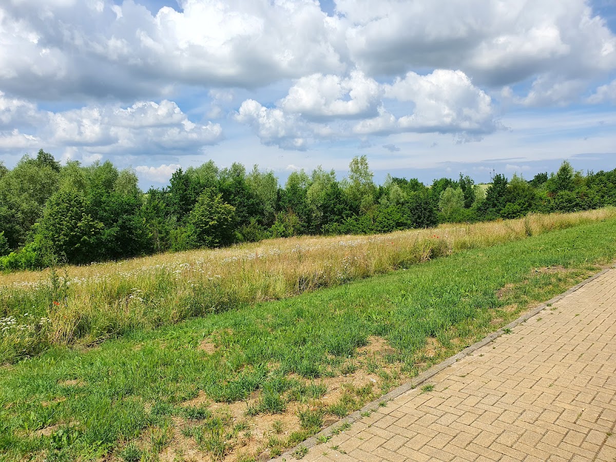 gp_69f9530f14851