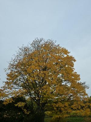 gp_69f953e945ae1