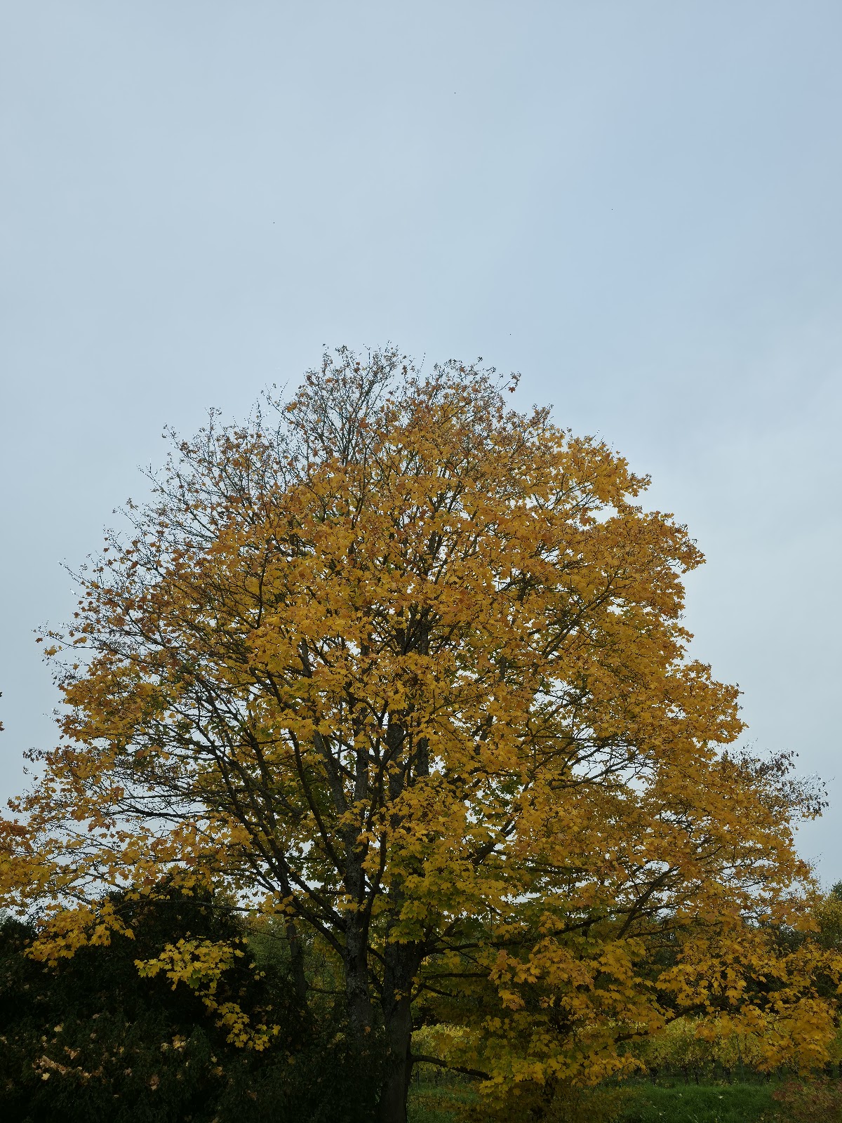 gp_69f953e945ae1