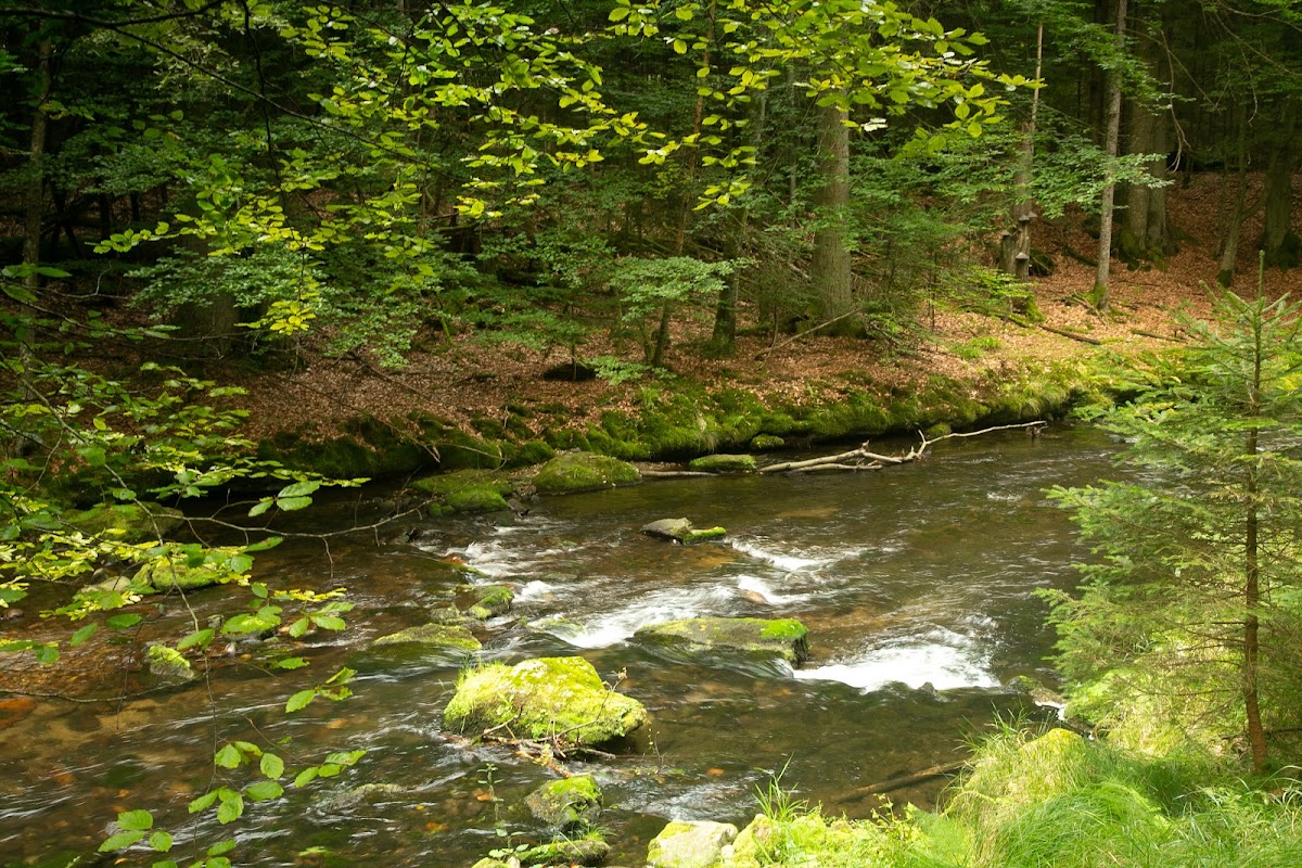 gp_69f95443c2988