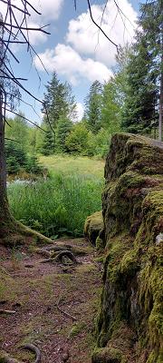 gp_69f95448285e9