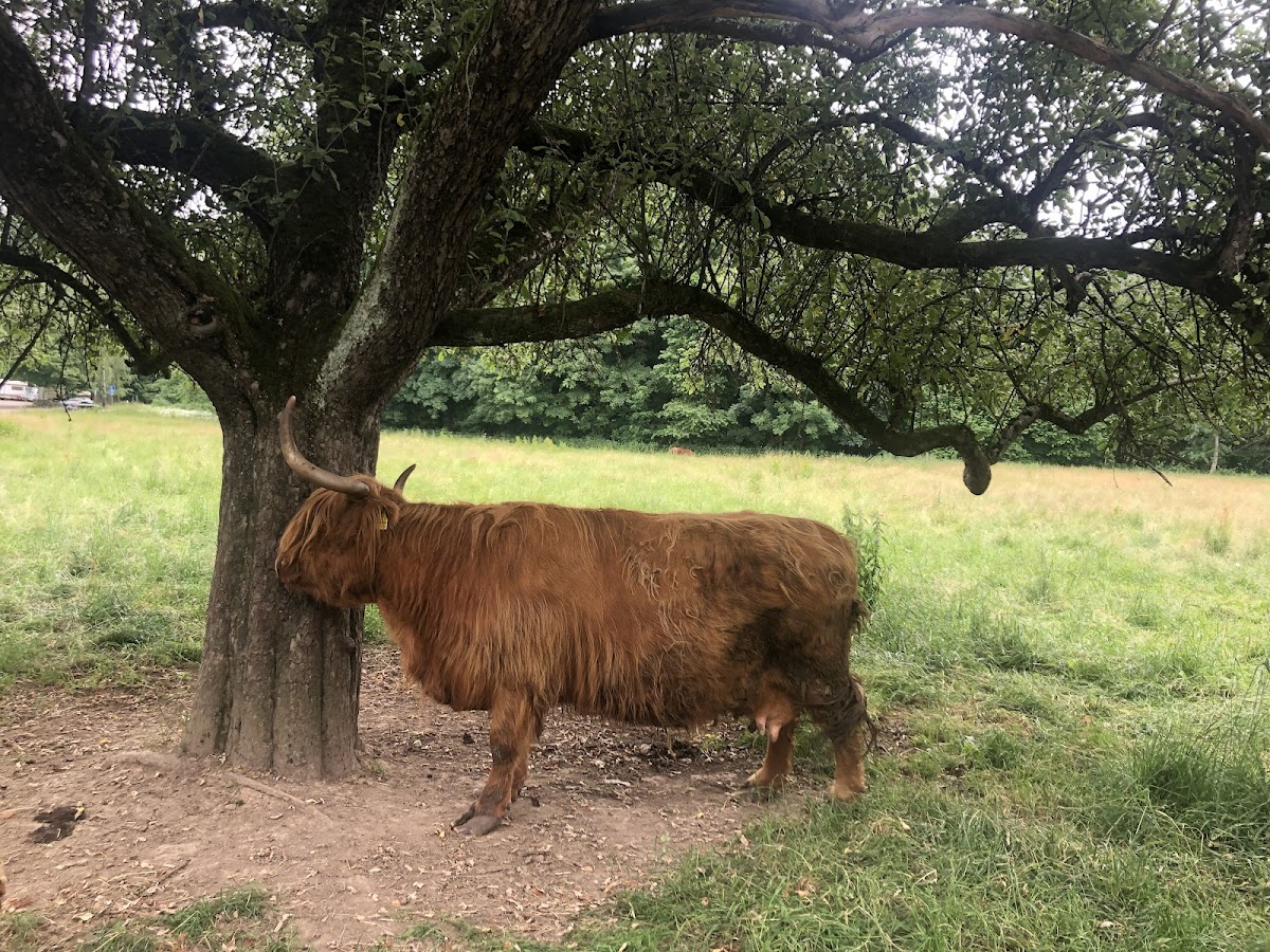 gp_69f92964458c9