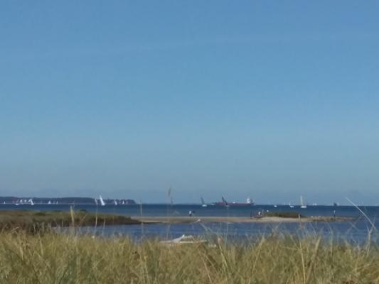 gp_69f9555fcb63b