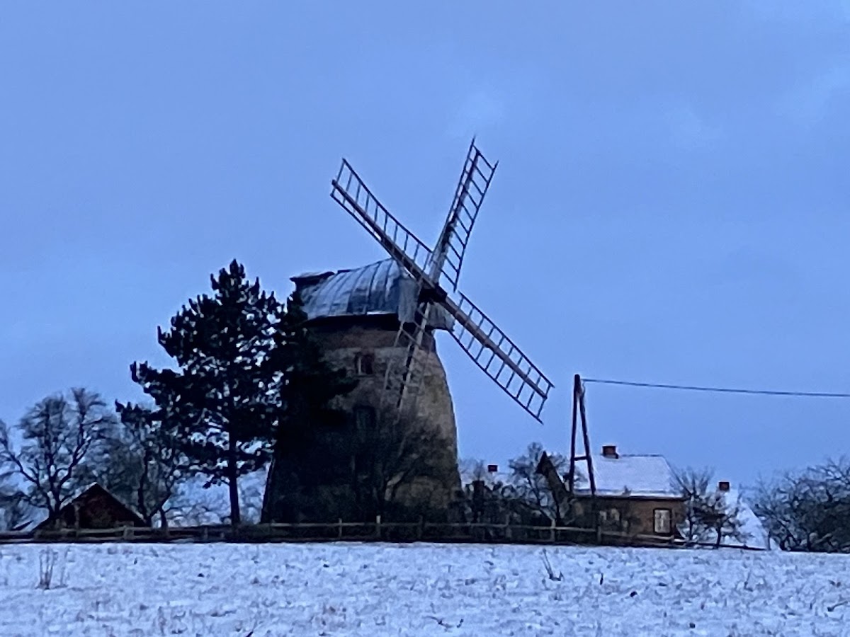 gp_69f9556e6c6c7