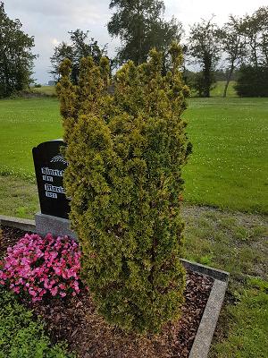 gp_69f9560b81255