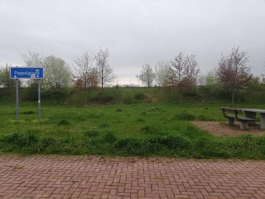 gp_69f956611d45d