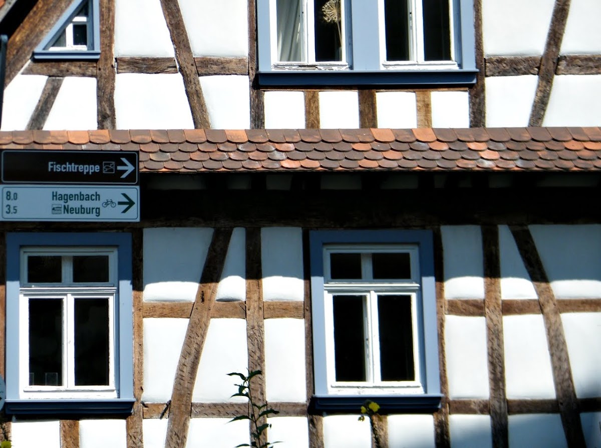 gp_69f956c20d041