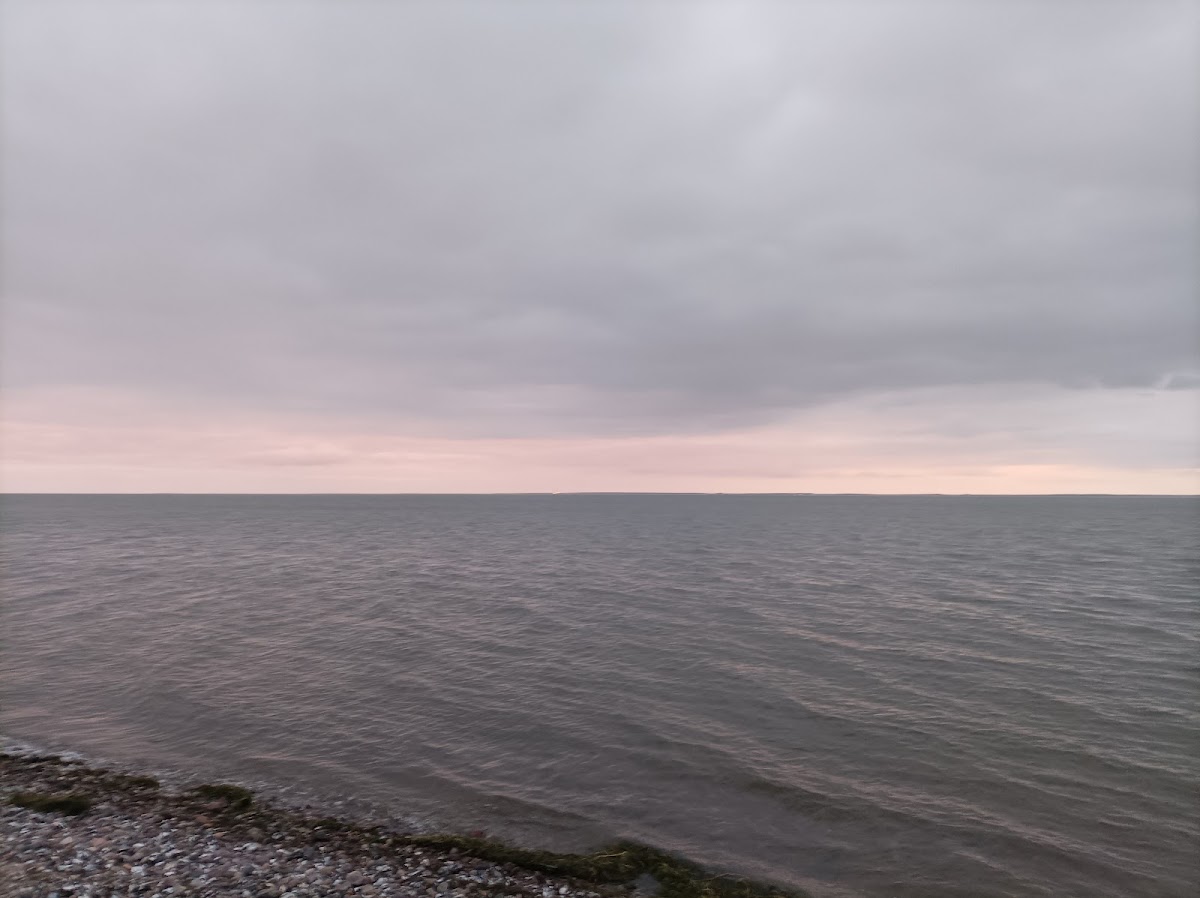 gp_69f956f96639e