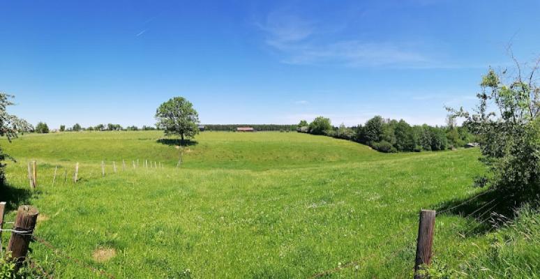 gp_69f957371033d
