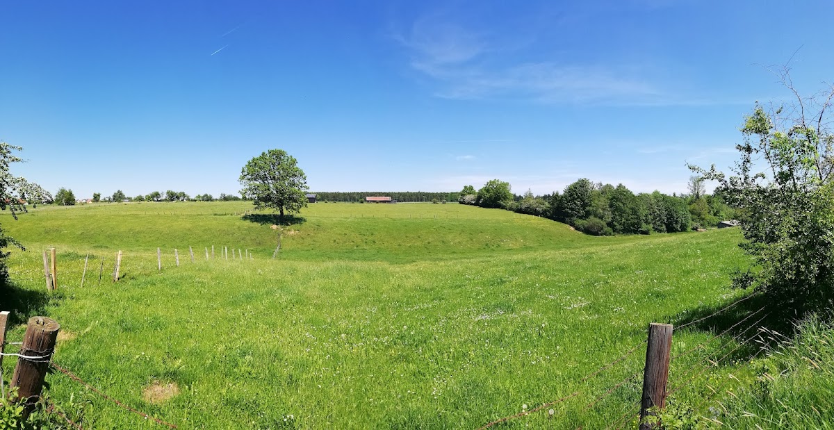 gp_69f957371033d