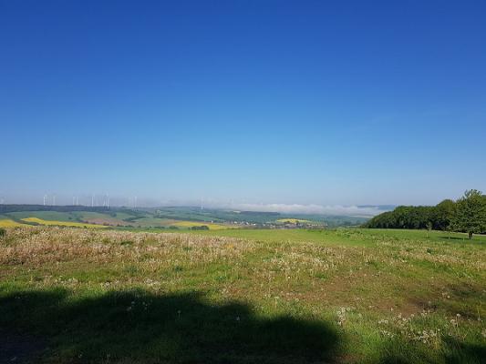 gp_69f9578049894