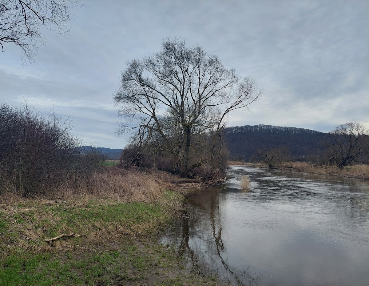 gp_69f95797433f1
