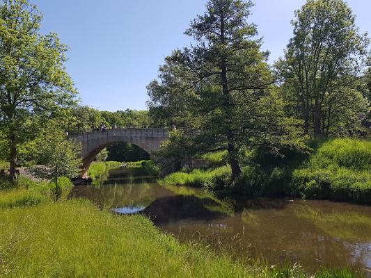 gp_69f958b61a945