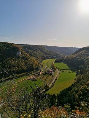 gp_69f9594d53371