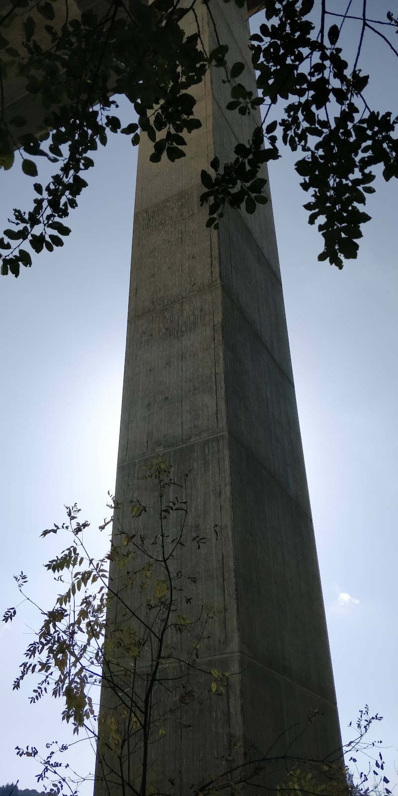 gp_69f959fb9dc74