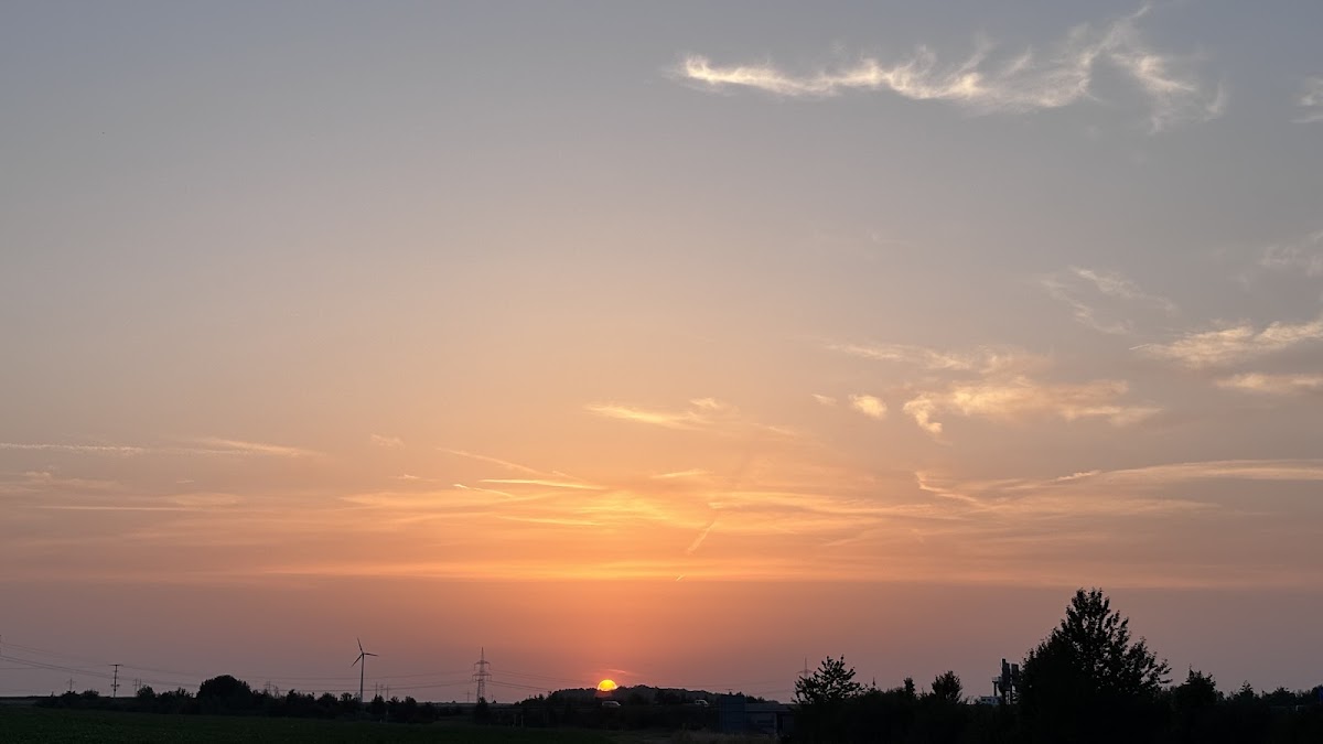 gp_69f95a08623cf