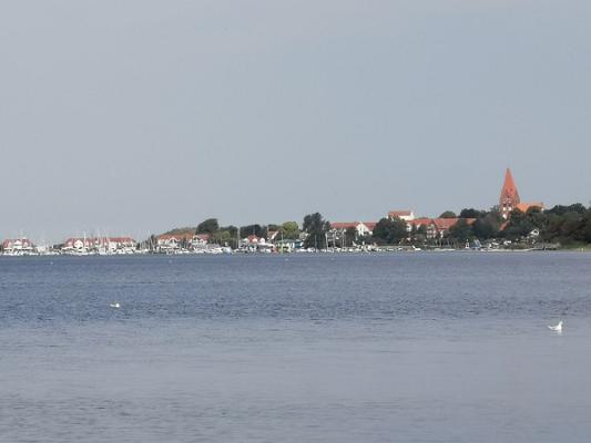 gp_69f95a5d28777