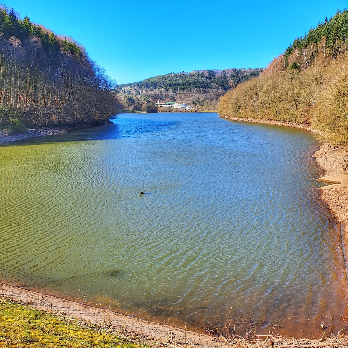 gp_69f95a8736725