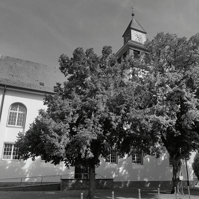 gp_69f95b0562955