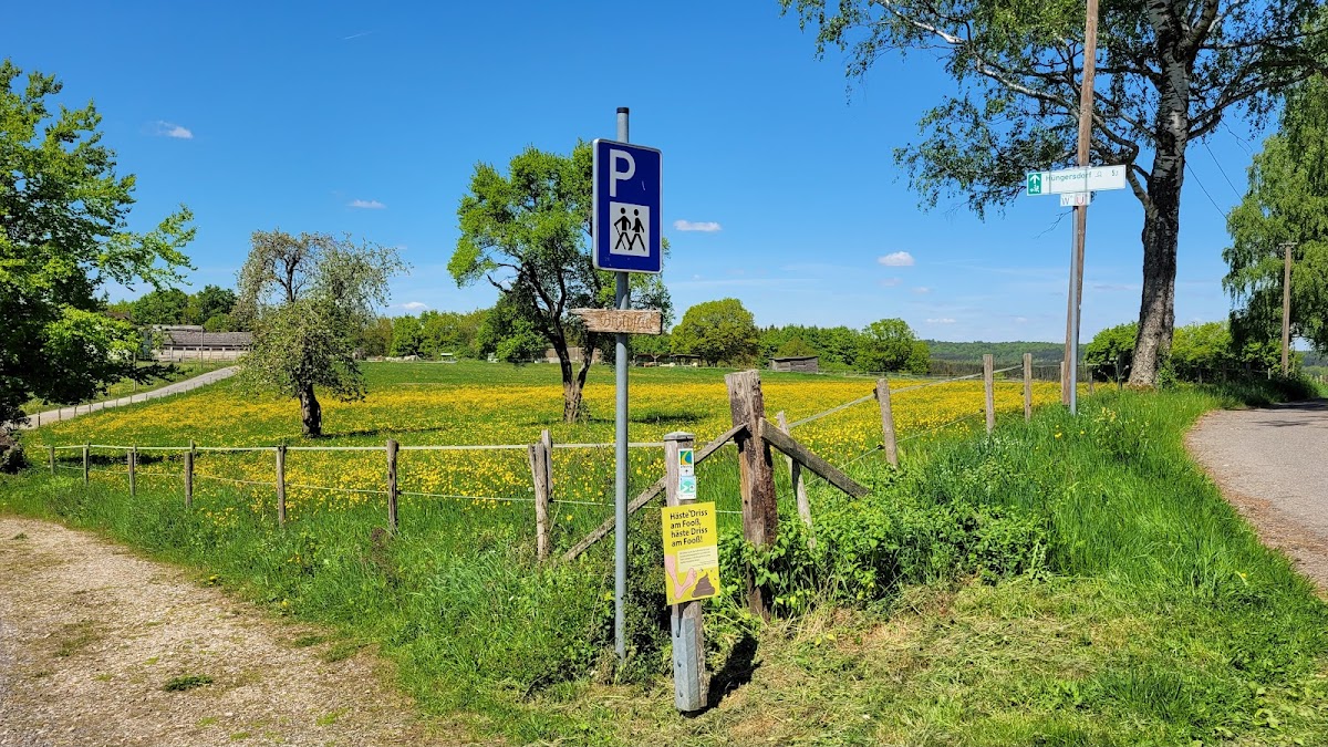gp_69f95cccc403a