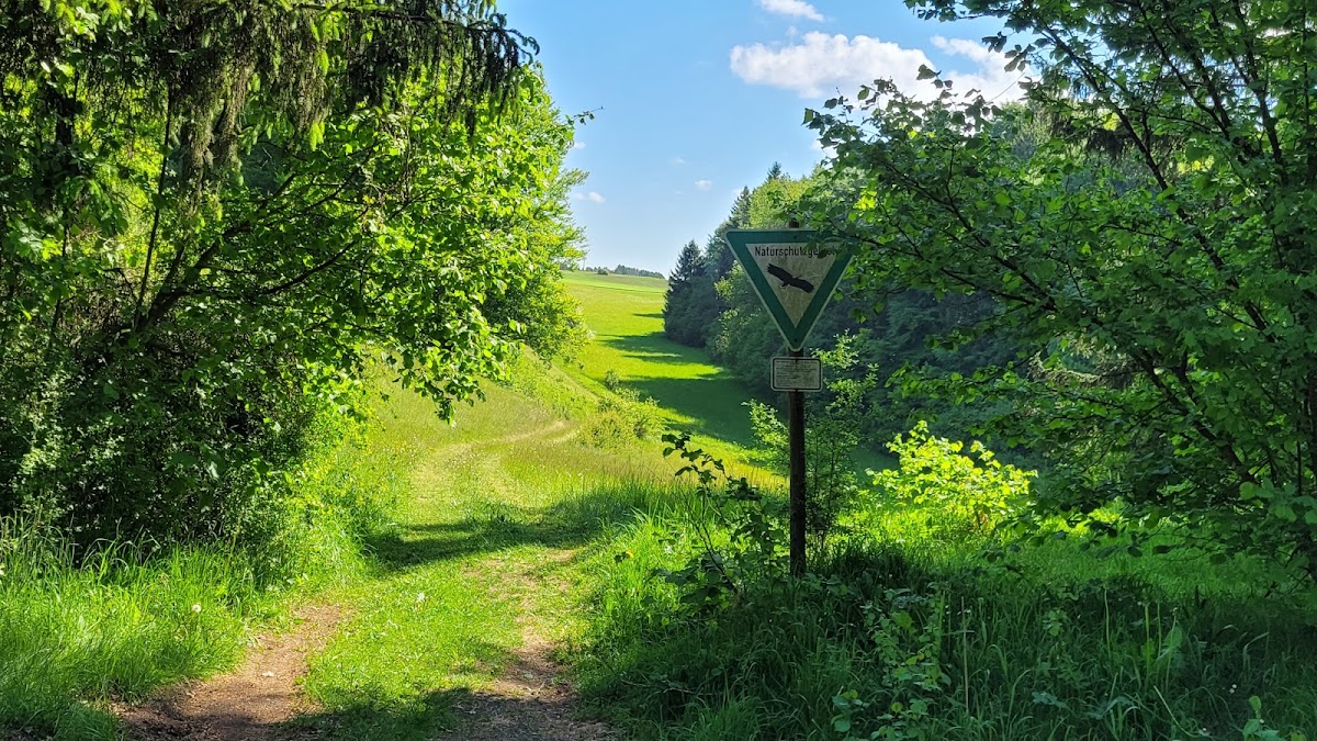 gp_69f95cd0a0819