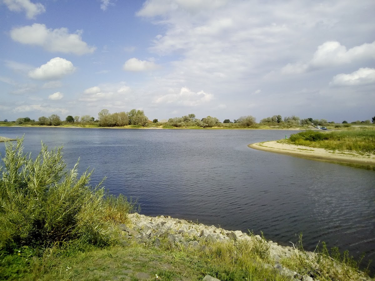 gp_69f95d1473e68