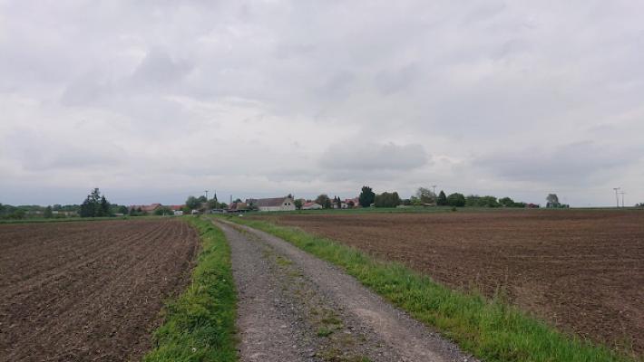 gp_69f95d8d7f587