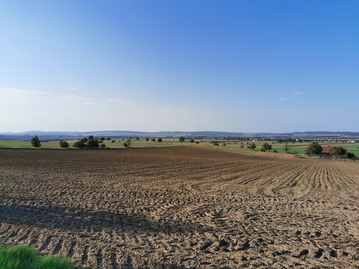 gp_69f95e4763318