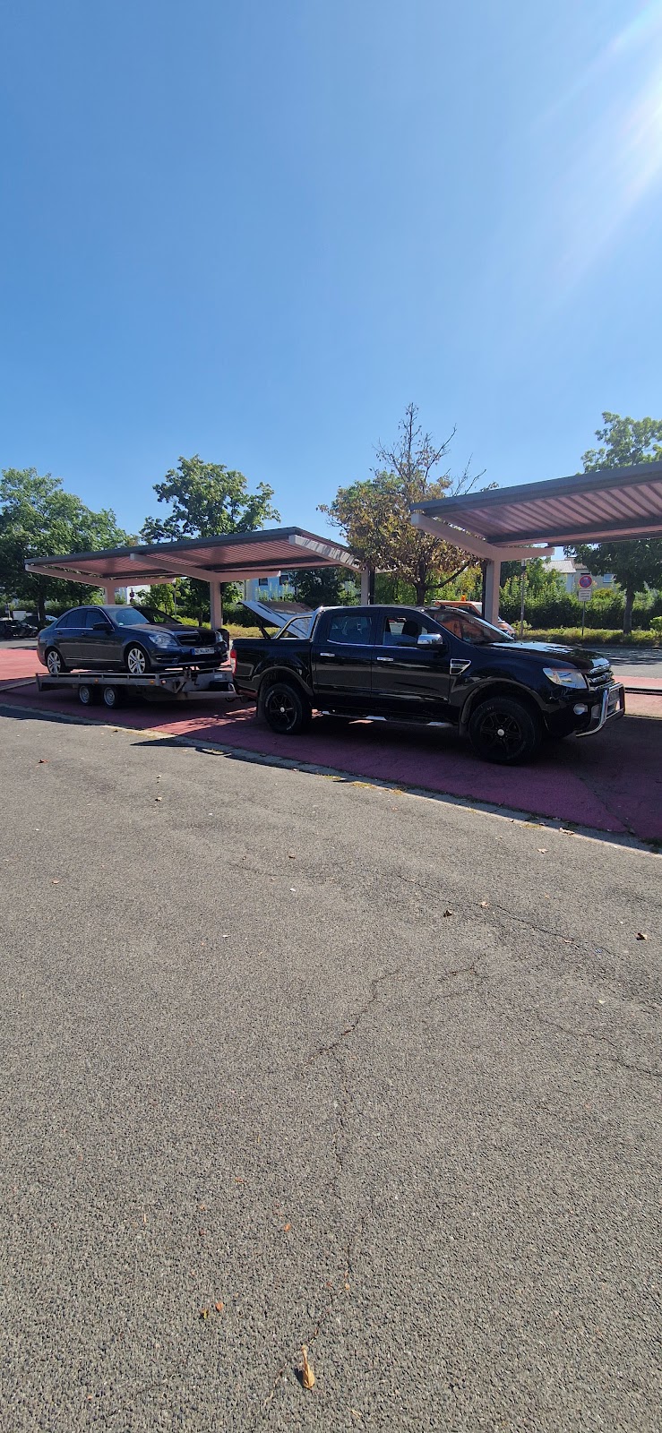 gp_69f95ea38e272