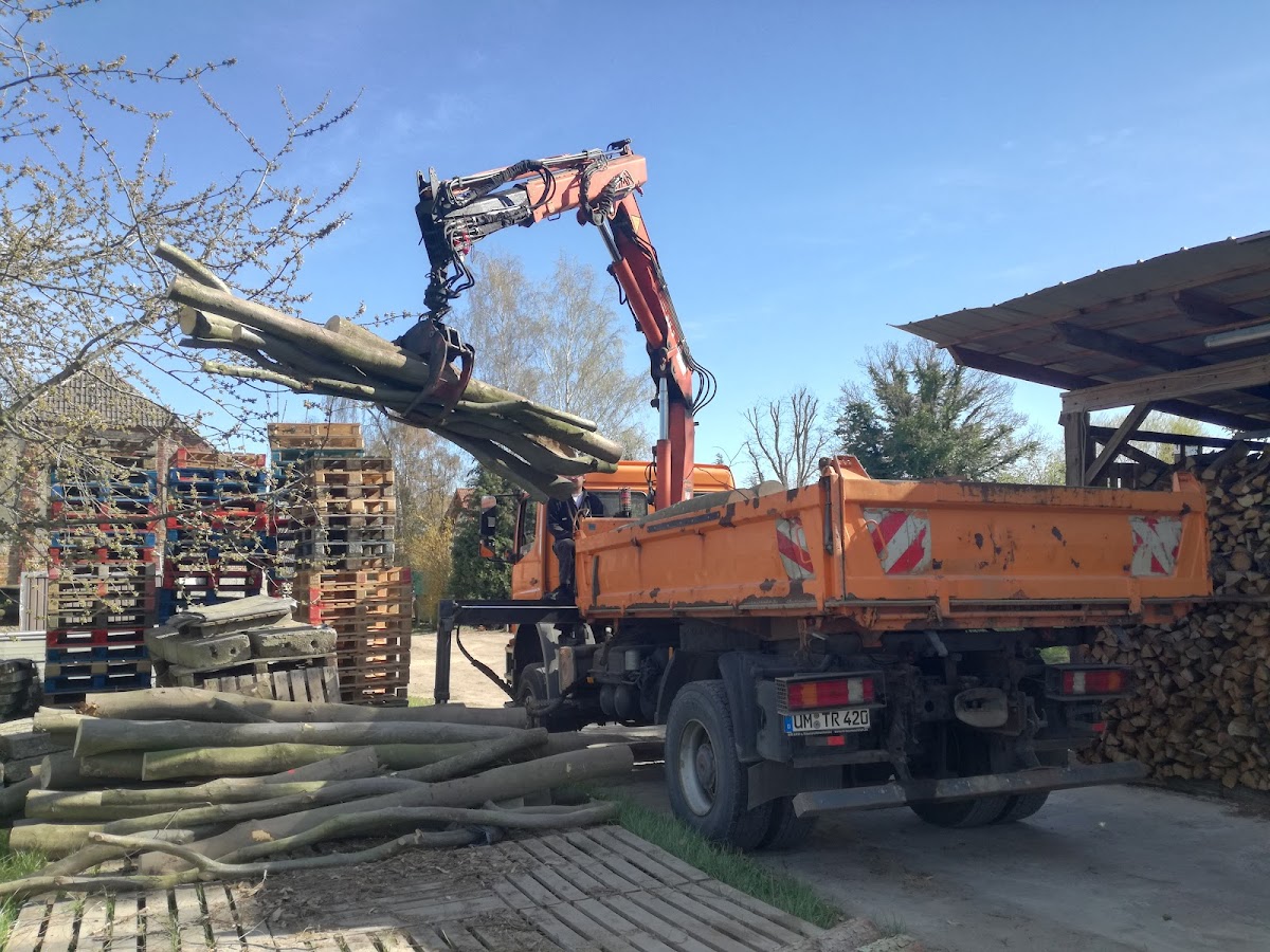 gp_69f95f2d4b597