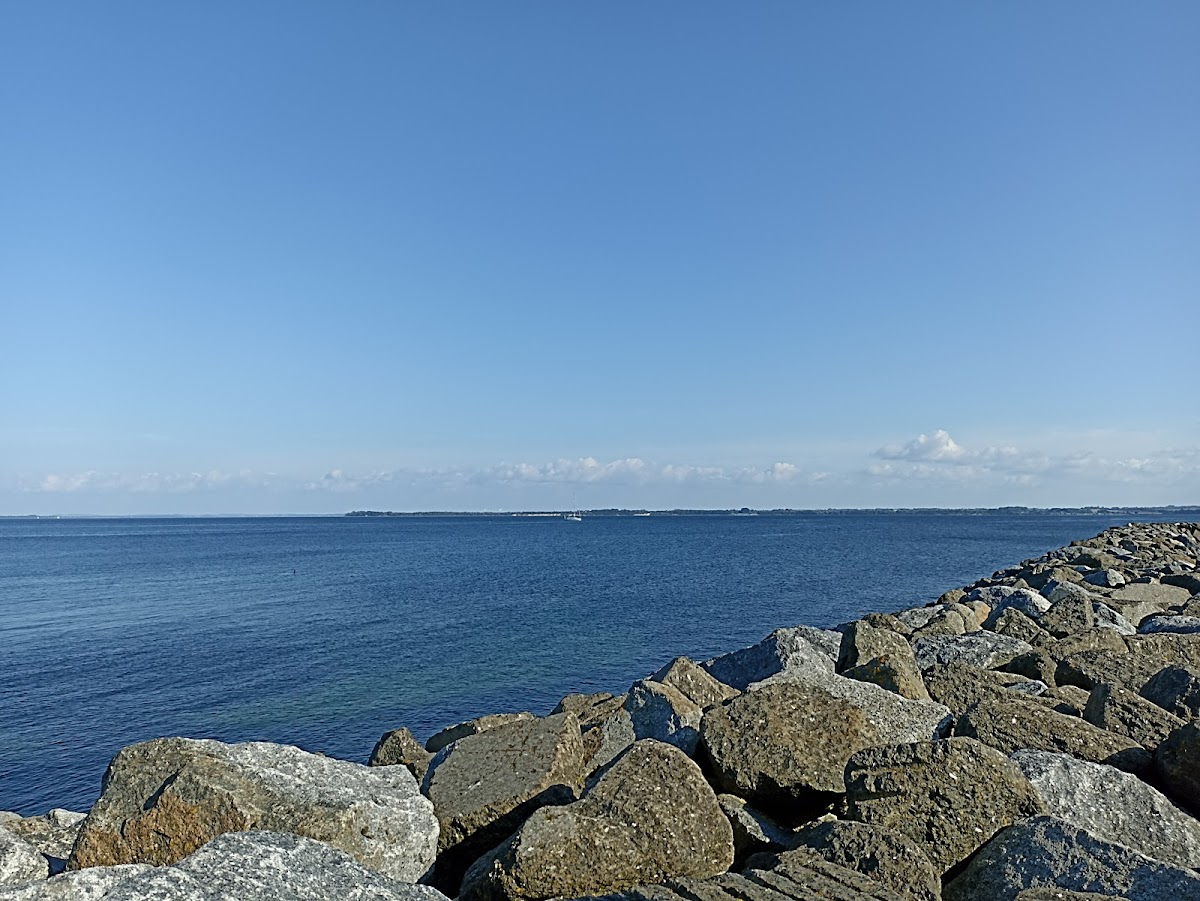 gp_69f95f9429446