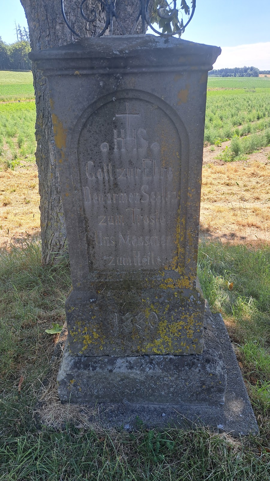 gp_69f95fc18ae7a